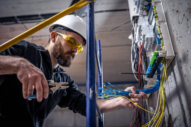 Best Electrical Upgrades for Homes  in Perry, LA